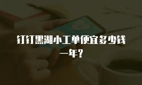 钉钉黑湖小工单便宜多少钱一年？