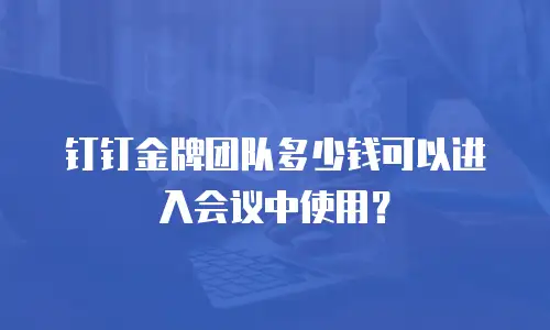 钉钉金牌团队多少钱可以进入会议中使用？