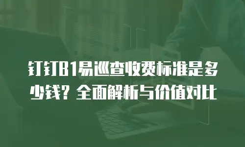 钉钉B1易巡查收费标准是多少钱？全面解析与价值对比