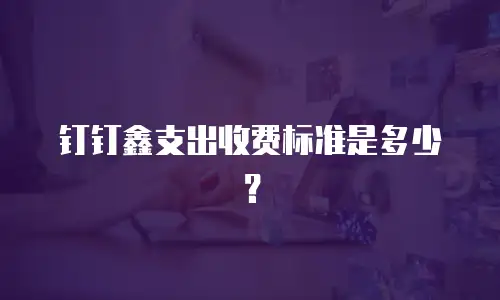 钉钉鑫支出收费标准是多少？