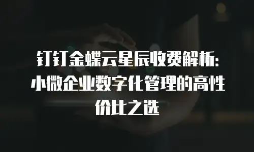 钉钉金蝶云星辰收费解析：小微企业数字化管理的高性价比之选
