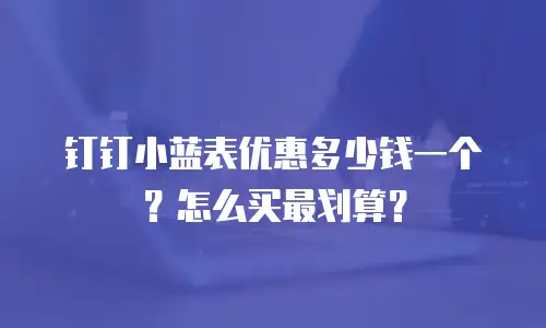 钉钉小蓝表优惠多少钱一个？怎么买最划算？