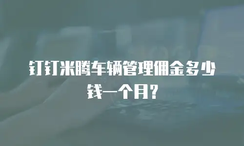 钉钉米腾车辆管理佣金多少钱一个月？