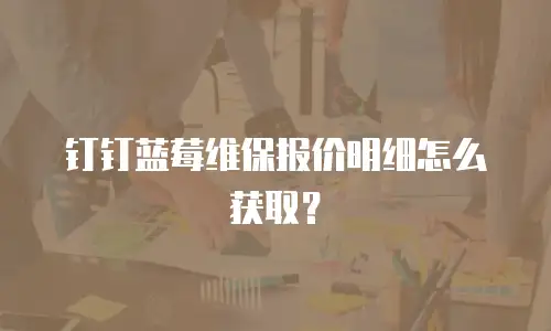 钉钉蓝莓维保报价明细怎么获取？