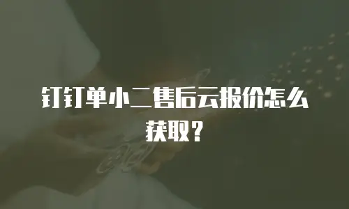 钉钉单小二售后云报价怎么获取？