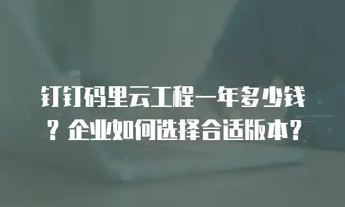 钉钉码里云工程一年多少钱？企业如何选择合适版本？