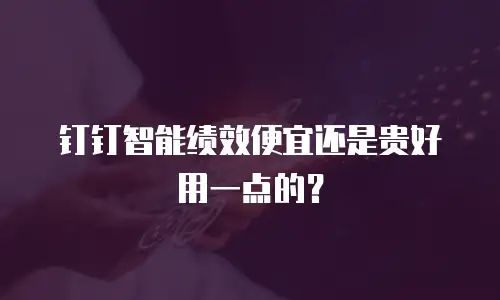 钉钉智能绩效便宜还是贵好用一点的？