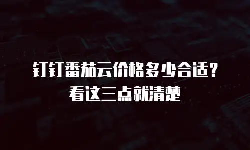 钉钉番茄云价格多少合适？看这三点就清楚