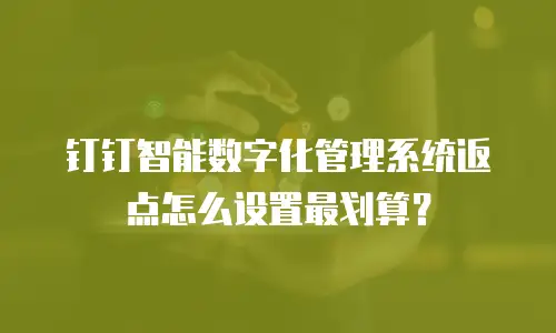 钉钉智能数字化管理系统返点怎么设置最划算？