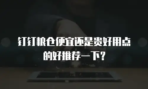 钉钉粮仓便宜还是贵好用点的好推荐一下？