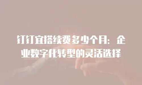 钉钉宜搭续费多少个月：企业数字化转型的灵活选择