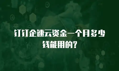 钉钉企速云资金一个月多少钱能用的？