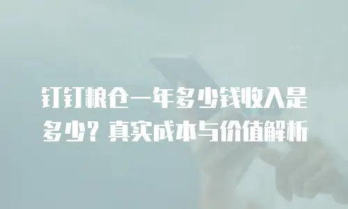 钉钉粮仓一年多少钱收入是多少？真实成本与价值解析