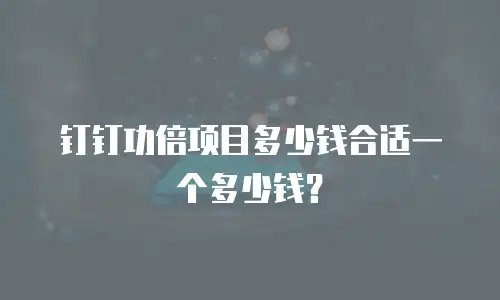 钉钉功倍项目多少钱合适一个多少钱？