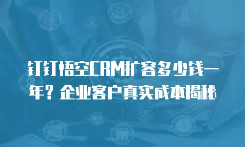 钉钉悟空CRM扩容多少钱一年？企业客户真实成本揭秘