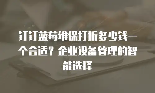 钉钉蓝莓维保打折多少钱一个合适？企业设备管理的智能选择