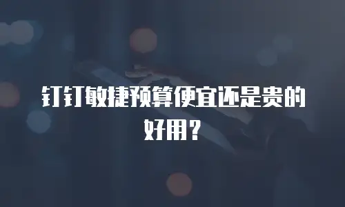 钉钉敏捷预算便宜还是贵的好用？