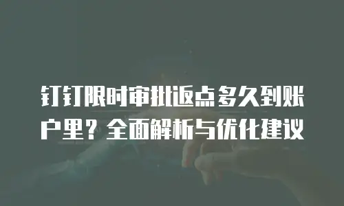 钉钉限时审批返点多久到账户里？全面解析与优化建议