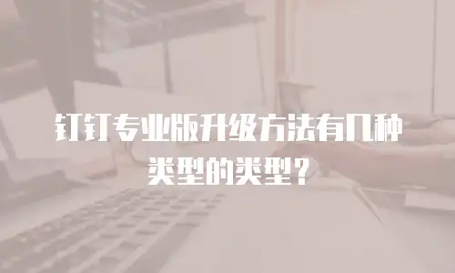 钉钉专业版升级方法有几种类型的类型？