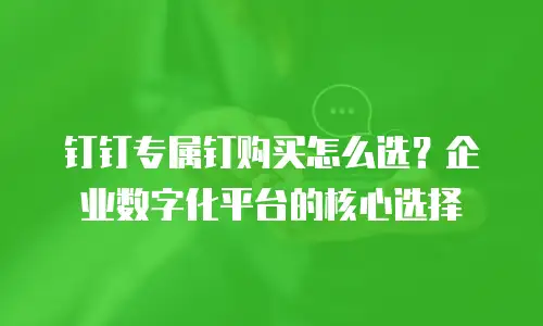 钉钉专属钉购买怎么选？企业数字化平台的核心选择