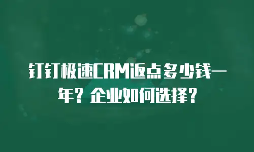 钉钉极速CRM返点多少钱一年？企业如何选择？
