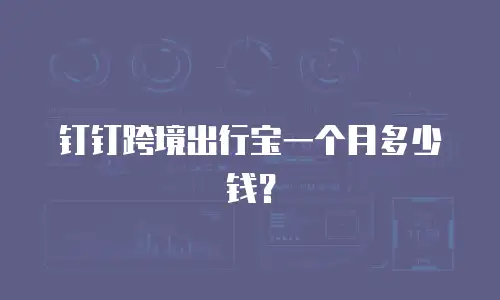 钉钉跨境出行宝一个月多少钱？