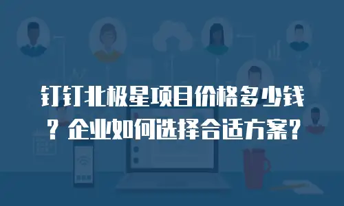 钉钉北极星项目价格多少钱？企业如何选择合适方案？