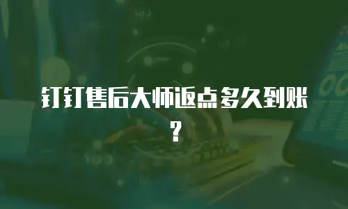 钉钉售后大师返点多久到账？