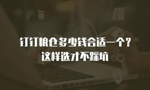 钉钉粮仓多少钱合适一个？这样选才不踩坑