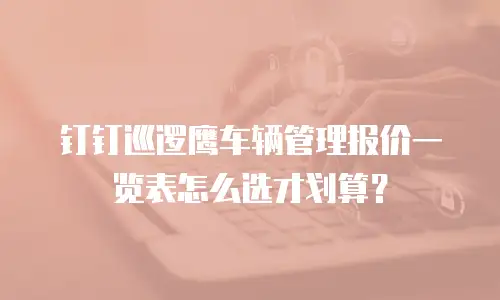 钉钉巡逻鹰车辆管理报价一览表怎么选才划算？