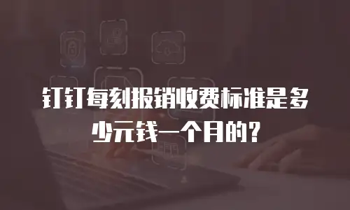 钉钉每刻报销收费标准是多少元钱一个月的？