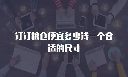 钉钉粮仓便宜多少钱一个合适的尺寸