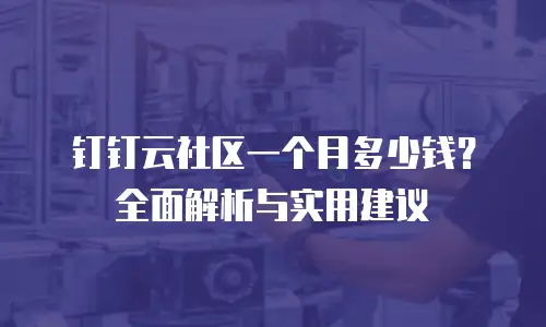 钉钉云社区一个月多少钱？全面解析与实用建议