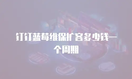 钉钉蓝莓维保扩容多少钱一个周期