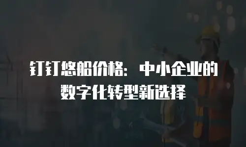 钉钉悠船价格：中小企业的数字化转型新选择