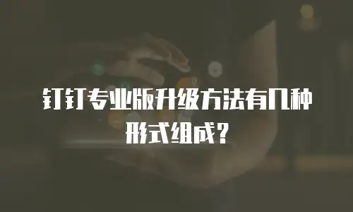钉钉专业版升级方法有几种形式组成？