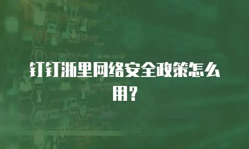 钉钉浙里网络安全政策怎么用？