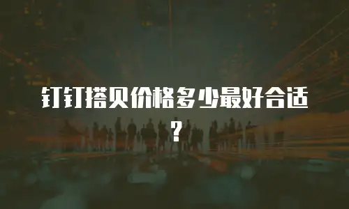 钉钉搭贝价格多少最好合适？