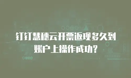 钉钉慧穗云开票返现多久到账户上操作成功？