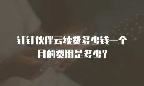 钉钉伙伴云续费多少钱一个月的费用是多少？