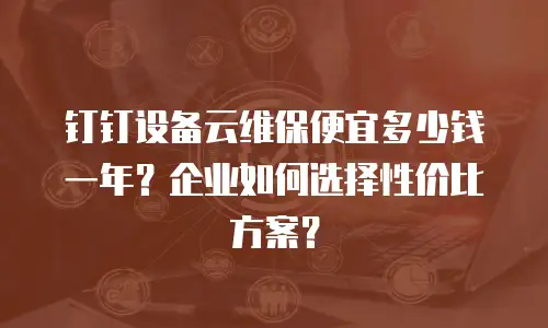 钉钉设备云维保便宜多少钱一年？企业如何选择性价比方案？