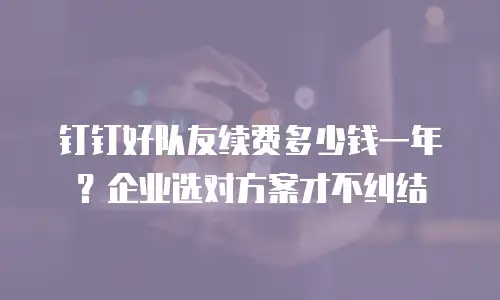 钉钉好队友续费多少钱一年？企业选对方案才不纠结