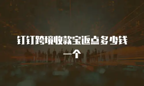 钉钉跨境收款宝返点多少钱一个