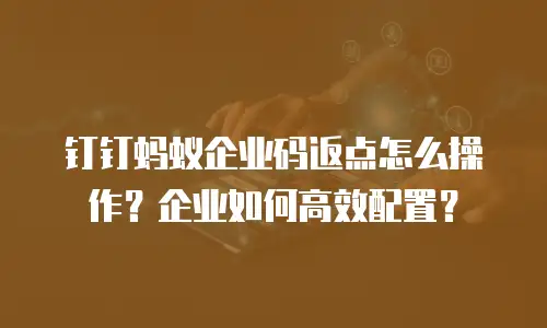 钉钉蚂蚁企业码返点怎么操作？企业如何高效配置？