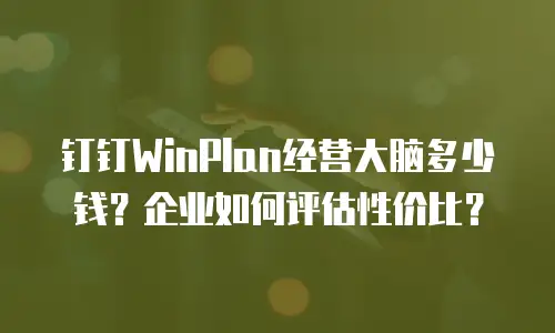 钉钉WinPlan经营大脑多少钱？企业如何评估性价比？
