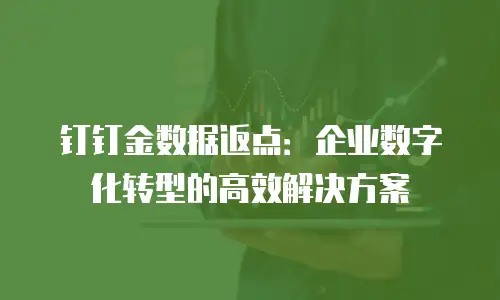 钉钉金数据返点：企业数字化转型的高效解决方案