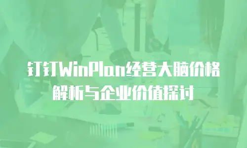 钉钉WinPlan经营大脑价格解析与企业价值探讨