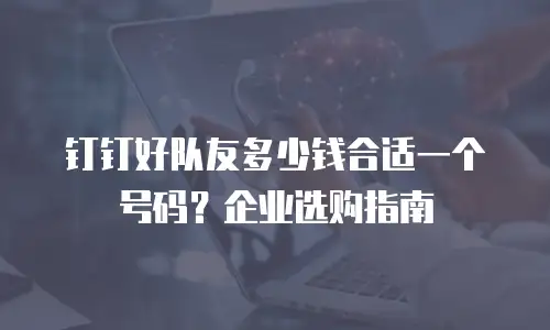 钉钉好队友多少钱合适一个号码？企业选购指南