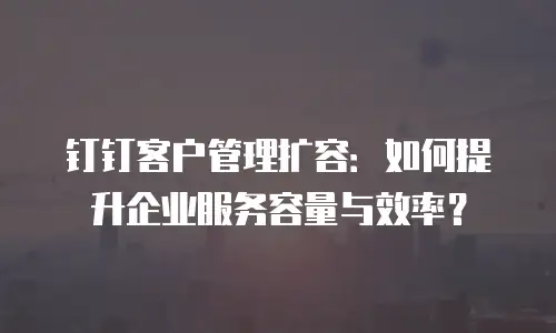 钉钉客户管理扩容：如何提升企业服务容量与效率？