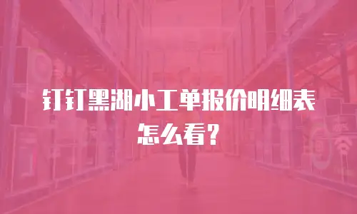 钉钉黑湖小工单报价明细表怎么看？